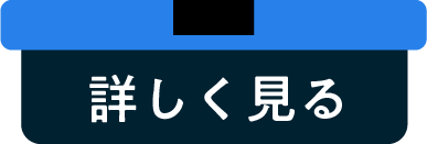 詳しく見る